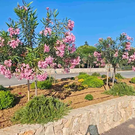 Aurora - 70 M From The Sea Apartment *