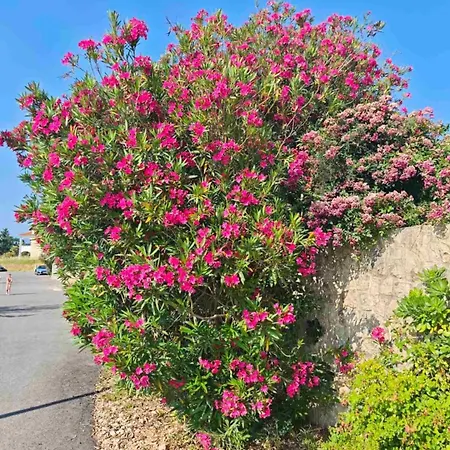 Aurora - 70 M From The Sea Apartment