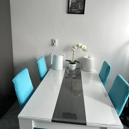 Apartment Aurora - 70 M From The Sea Vrsi